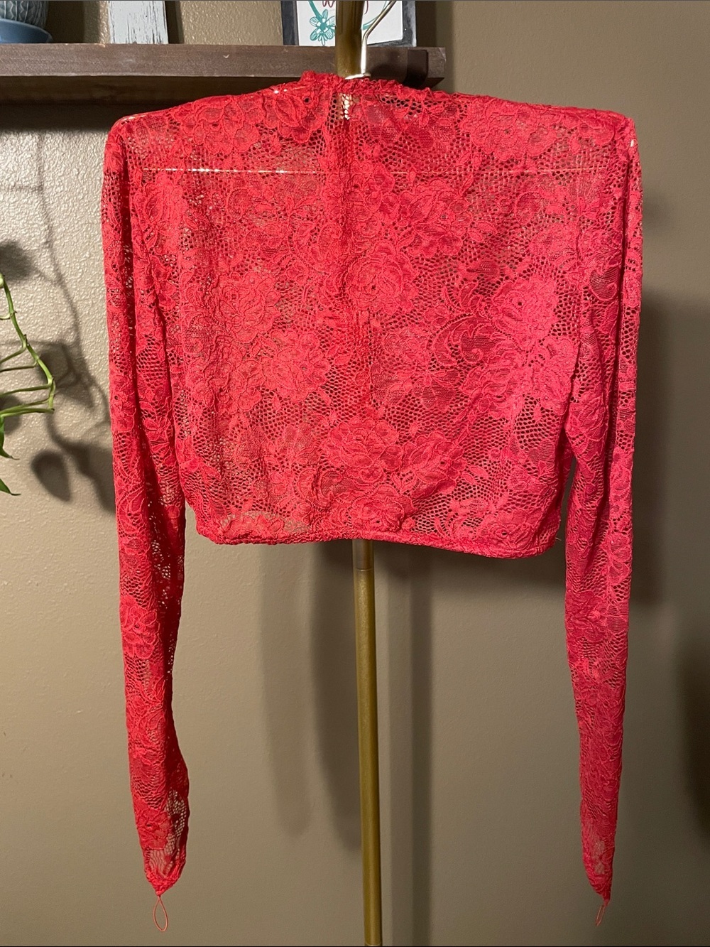 NWT Nookie Red Lace Long-Sleeve Crop Top - Women